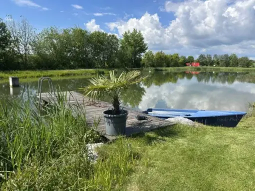 Steg mit Boot und Palme bei der Strandbar